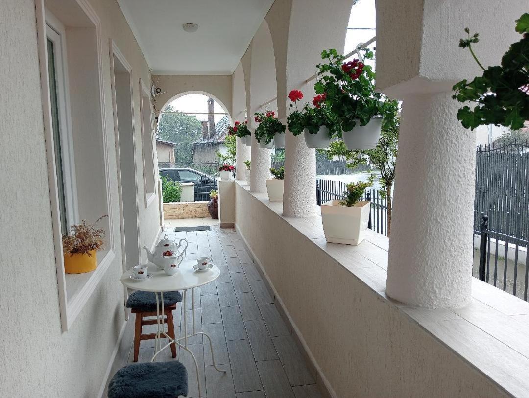 Casa Ana * Calimanesti