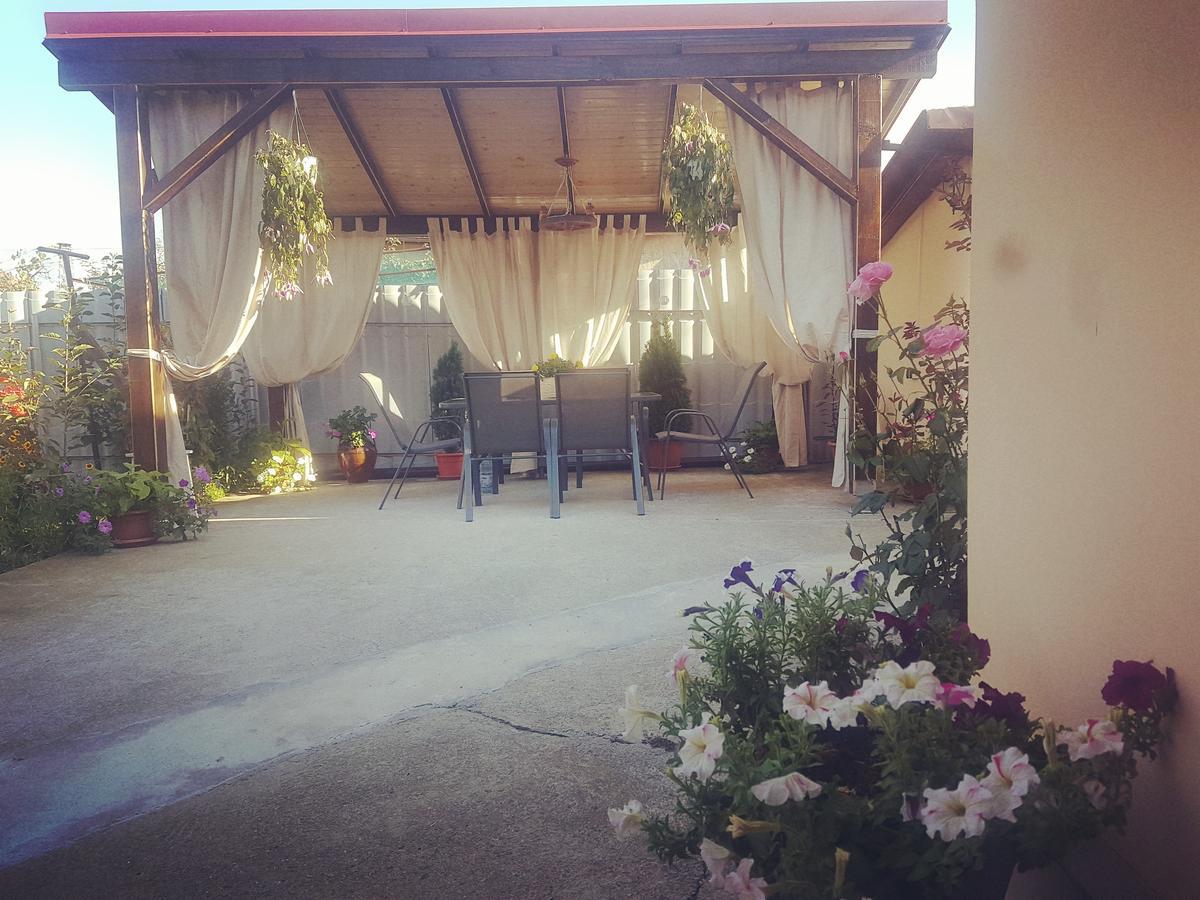 Casa Ana Holiday home Calimanesti